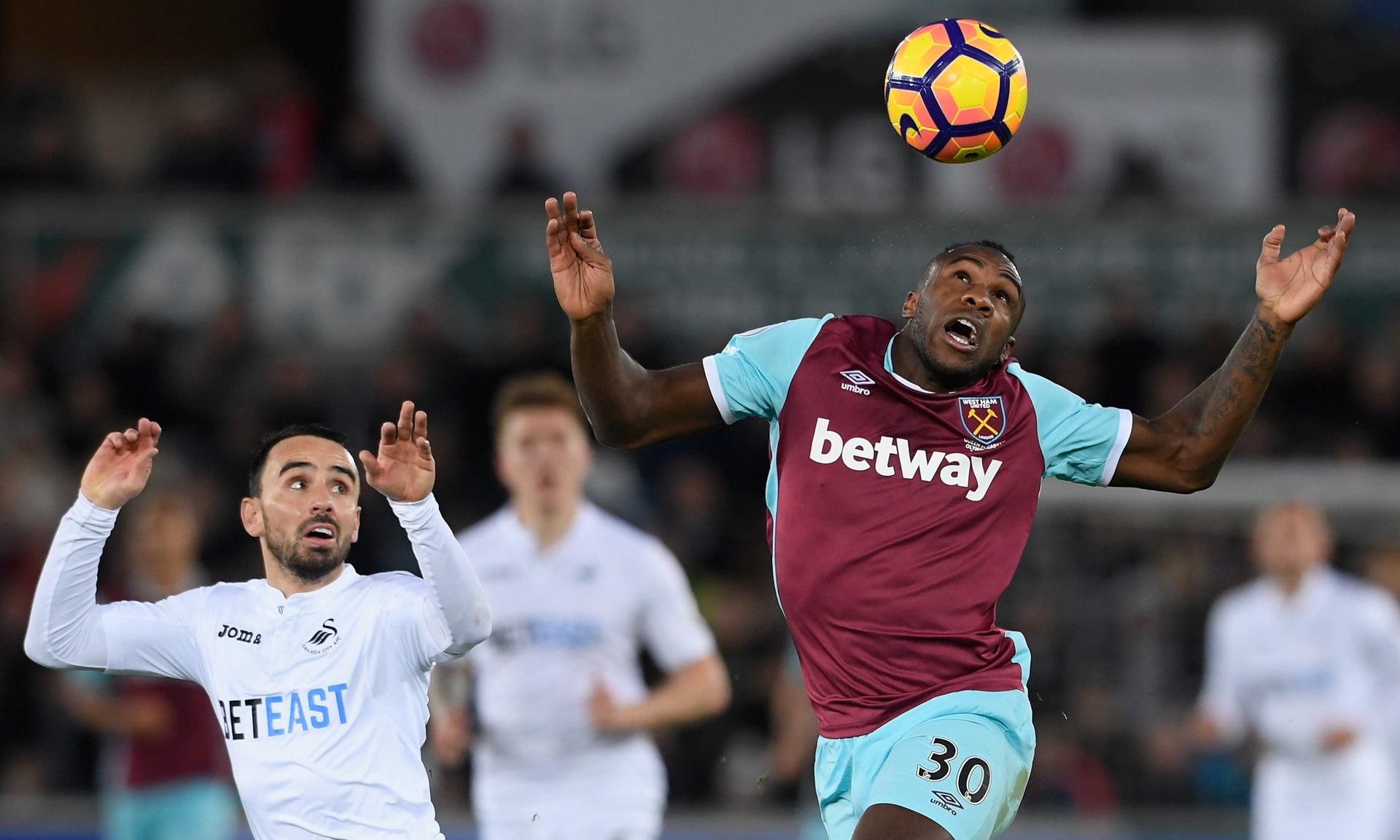 他们都懂得 他们都懂得